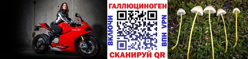 закладки  KRAKEN как войти  Псилоцибиновые грибы мухоморы  Вытегра 